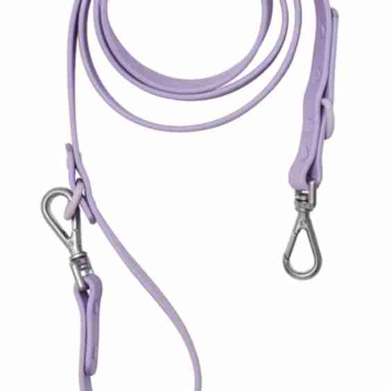 Leash