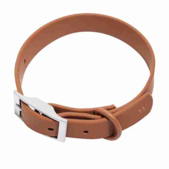 Small Collar
