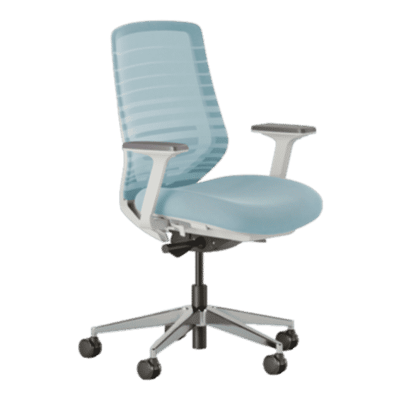 Ergonomic Chair