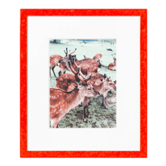 Kyoto Frame