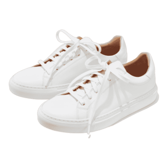The Sneaker 