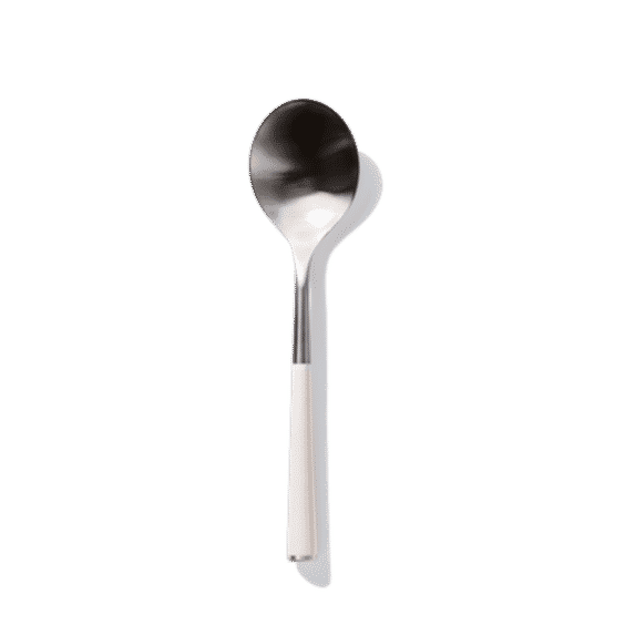 The Metal Spoon