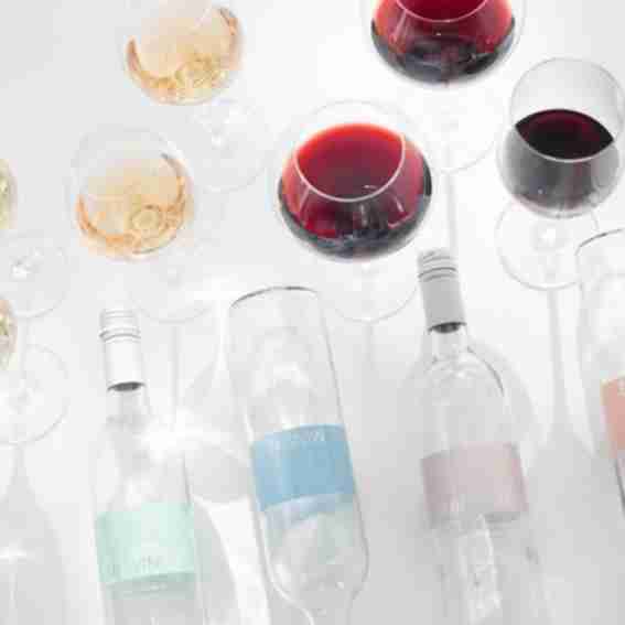 Minvino Reviews