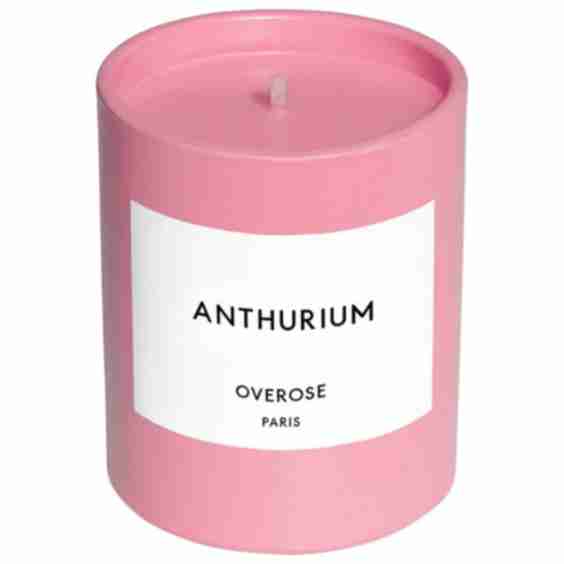 Anthurium Pink Candle