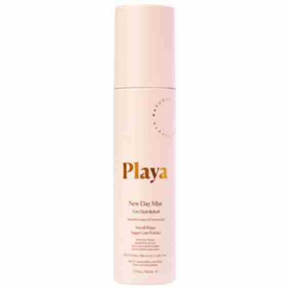 New Day Mist 3-In-1 Styler Refresh