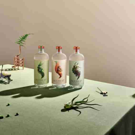 Seedlip Reviews