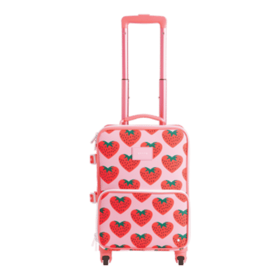 Mini Logan Carry-On Suitcase