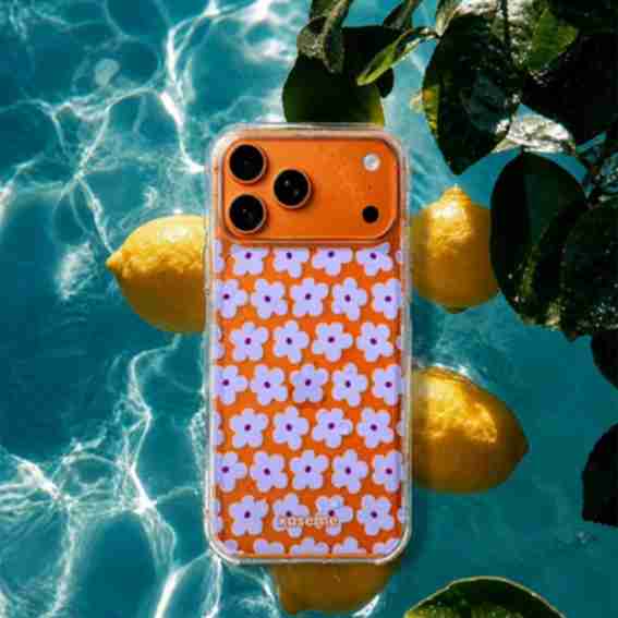 Kaseme Design Reviews