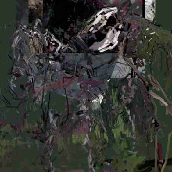 Petra Cortright Wrapping Paper