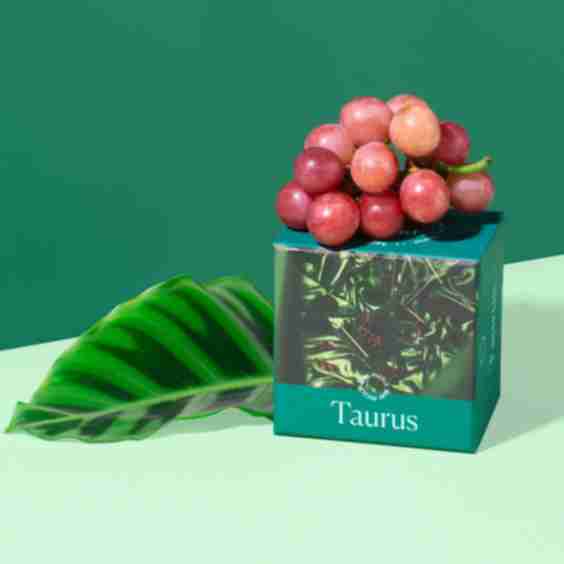 Taurus