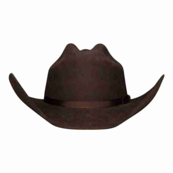 The Ranchman Hat