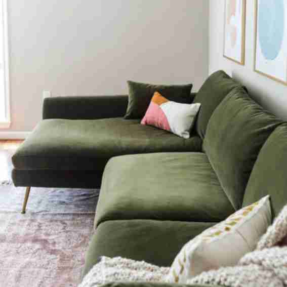 Albany Park Reviews