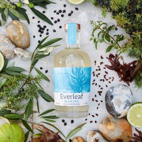 Everleaf Drinks