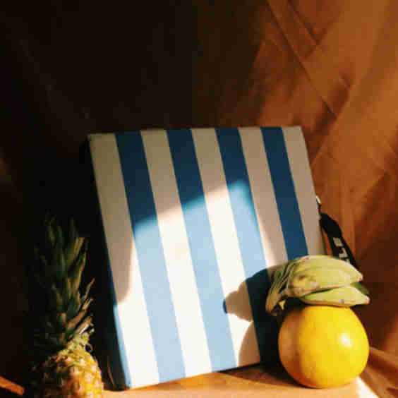 Blue Stripe Hot Seat