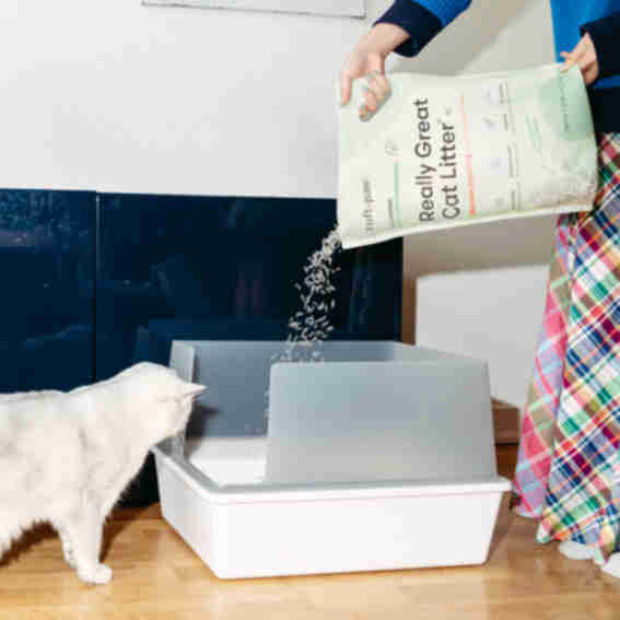 Tuft & Paw Reviews