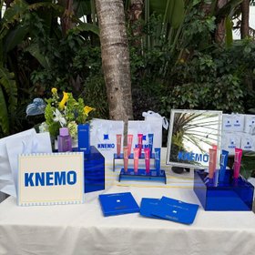 Knemo