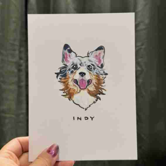 Char and Whiskers Reviews