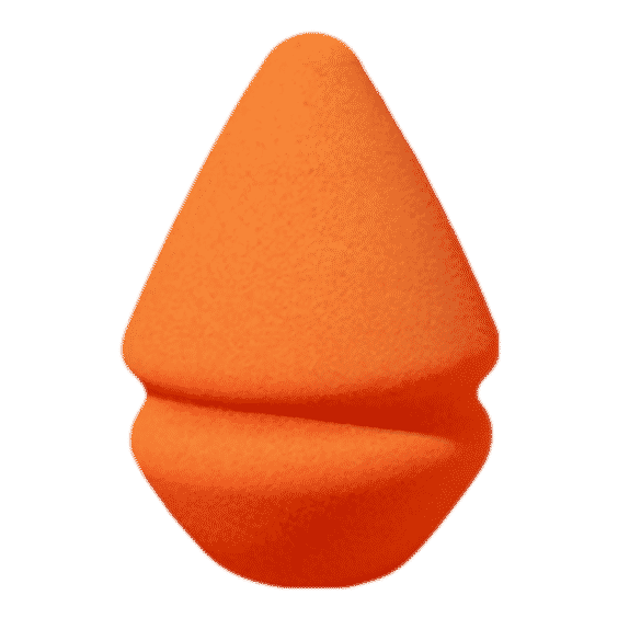 Makeup Sponge