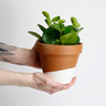 Horti