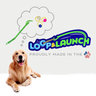 Loop & Launch
