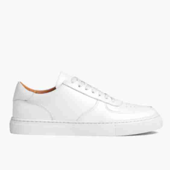 Court Sneakers