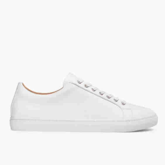 Premier Low Top