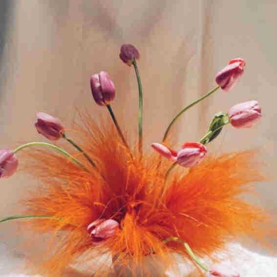 Calma Floral Reviews