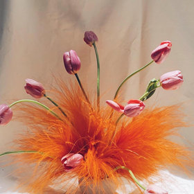 Calma Floral