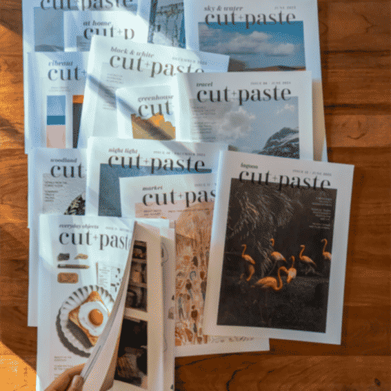 Cut+Paste Magazine Reviews