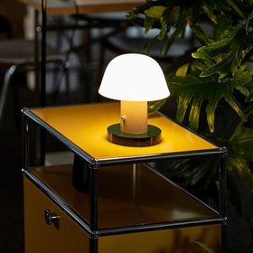 lampboy
