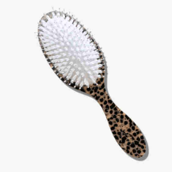 Perfect Daily Hair Brush