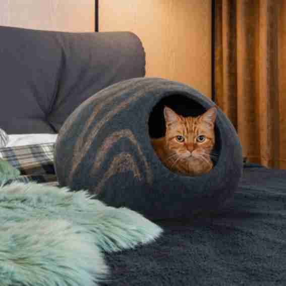 Meowfia Reviews