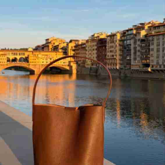 Alvea Reviews