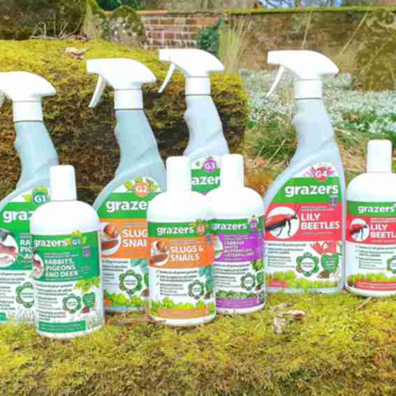 grazers Reviews