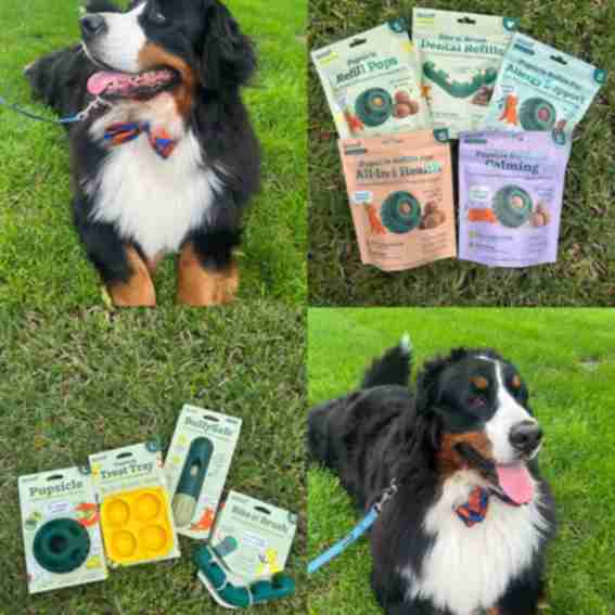 1800PetMeds Reviews