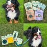 1800PetMeds