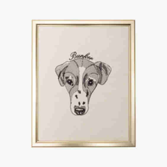 Pet Portrait