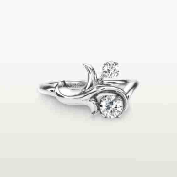 Moshe Ring