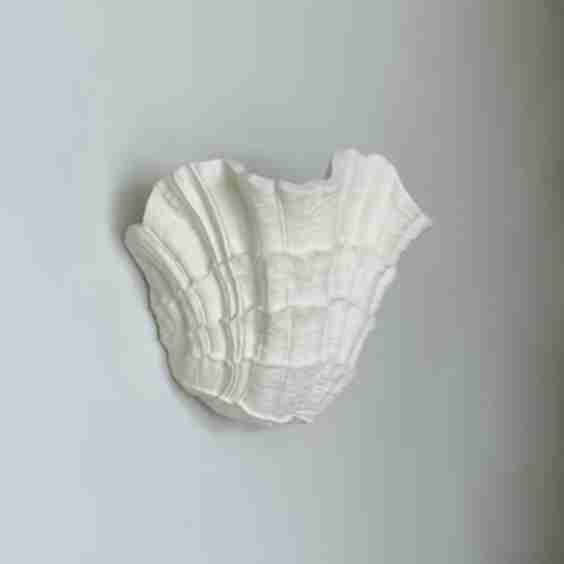 Shell Wall Sconce