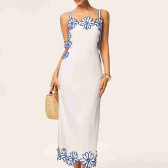 Semi-Sheer Floral Embroidery Back Bow Maxi Dress