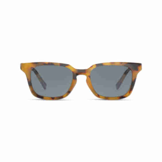 Ace Sunglasses