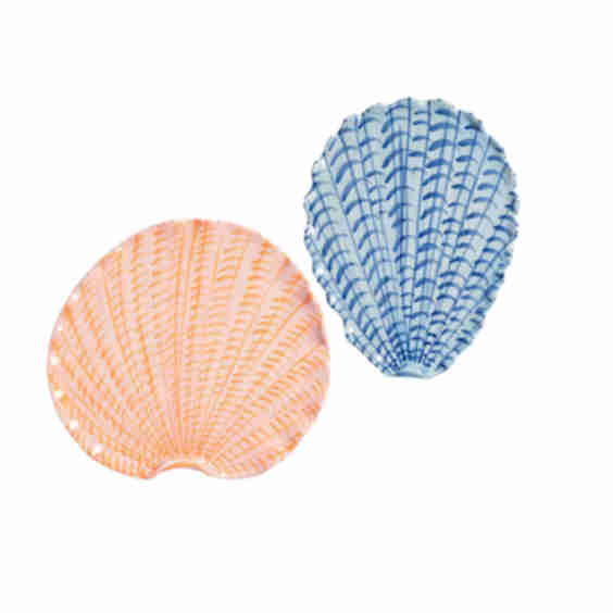 Shellegance Plate Set of 2