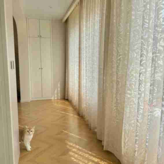 Regal Curtains Reviews