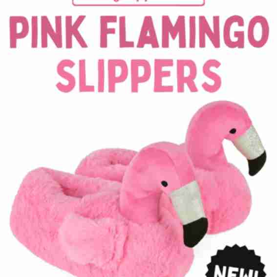 BunnySlippers.com Reviews