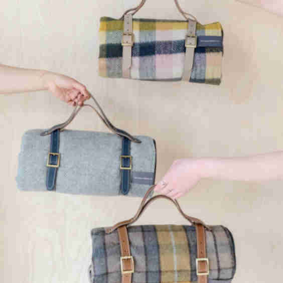 Picnic Carrier