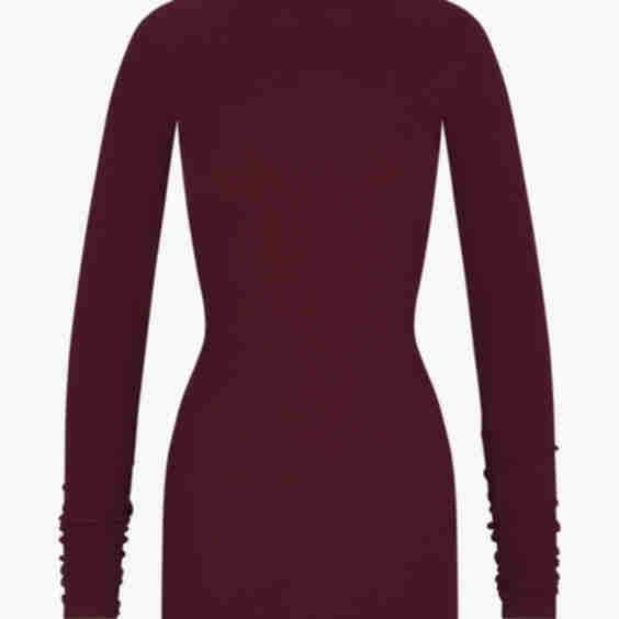 Long Sleeve Turtleneck Mini Dress