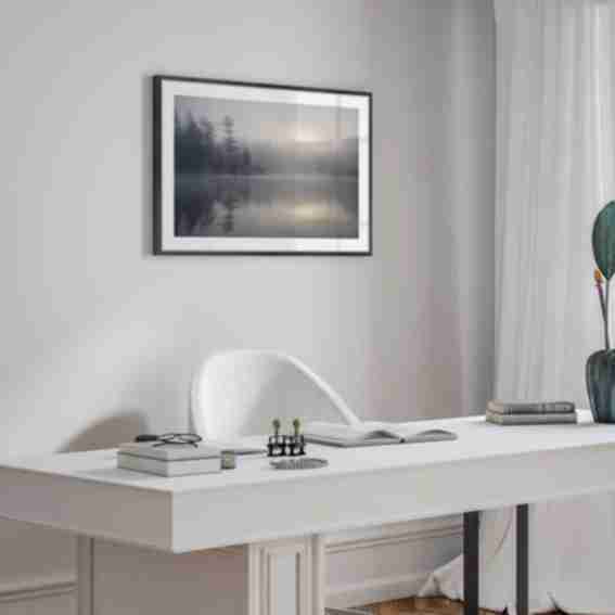 Frametolia Reviews