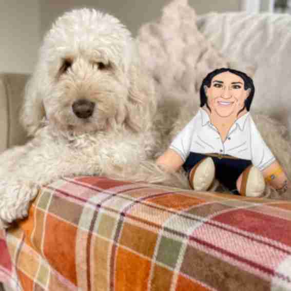 Pet Hates Toys Reviews