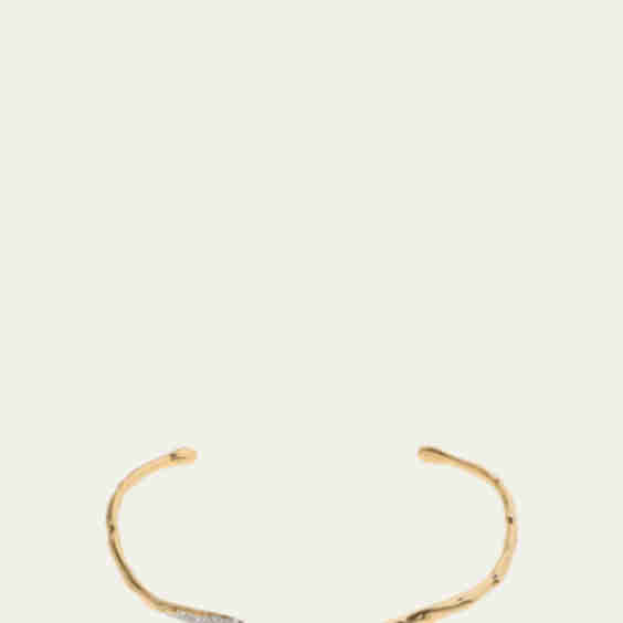 Solanales Crystal Skinny Collar Necklace