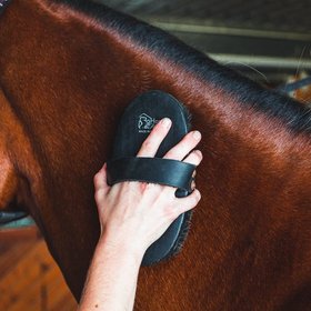 HorseHaus